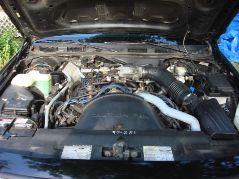 2003 Ford Crown Victoria - Engine bay of a 2003 Ford Crown Victoria, showing the fan shroud and various engine components.