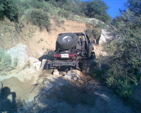1984 Ford Bronco II “1BadB2”