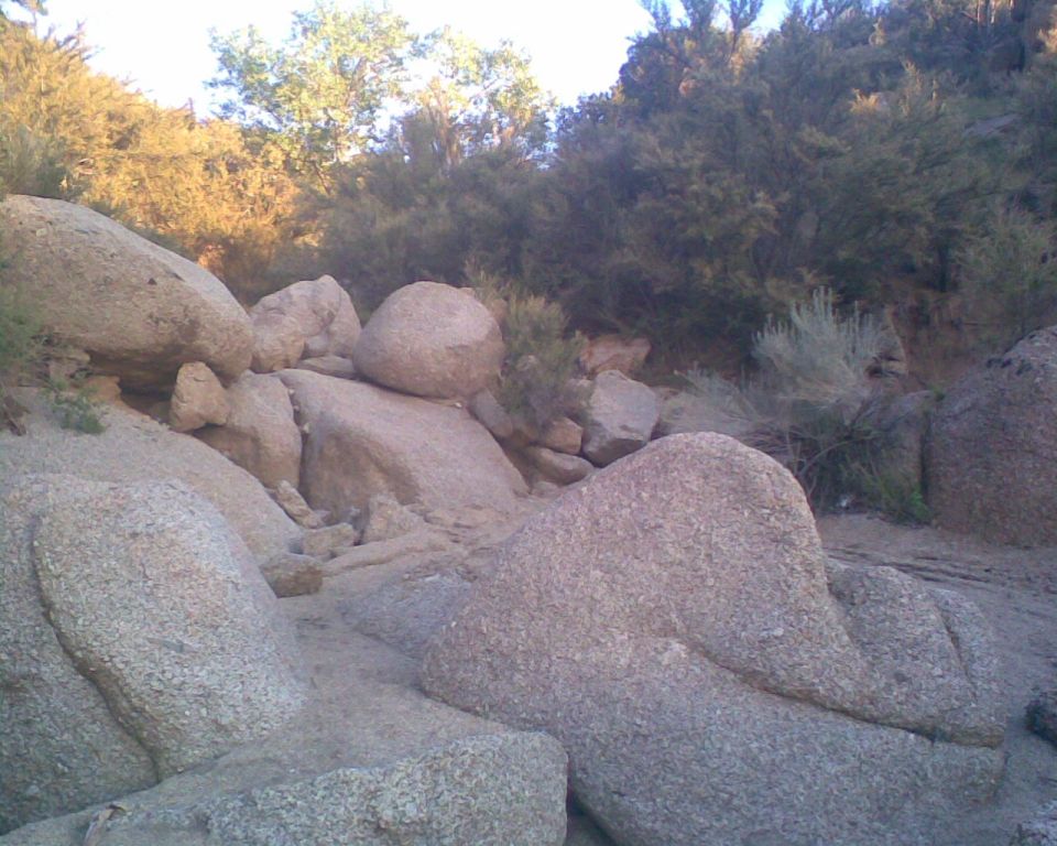 rocky terrain with desert brush and trees