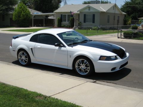 2001 Ford Mustang “Cali”