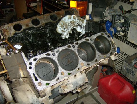 1990 Ford Bronco - Pistons looking pretty decent... just a little carbon build up that cleaned off easily.