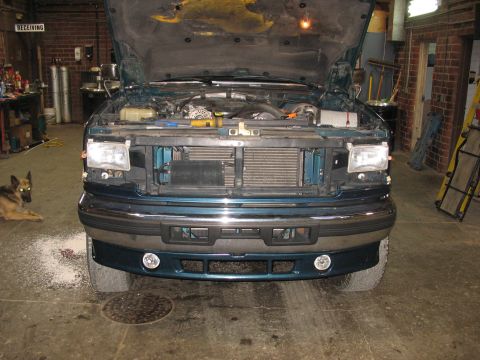 1995 Ford C-350 (Centurion Conversions) - Front view of a green Ford F-Series truck with its hood open, revealing the engine bay and intercooler, with a dog resting nearby.