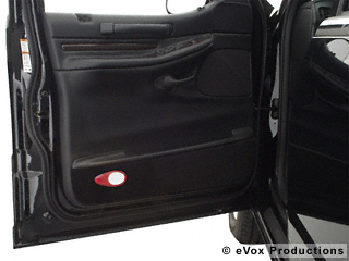 2007 Ford Mustang - Close-up view of the interior door panel of a vehicle.