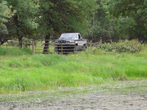 1993 Ford Bronco - A two-tone Ford F-Series truck is partially obscured by a gate in a rural setting.