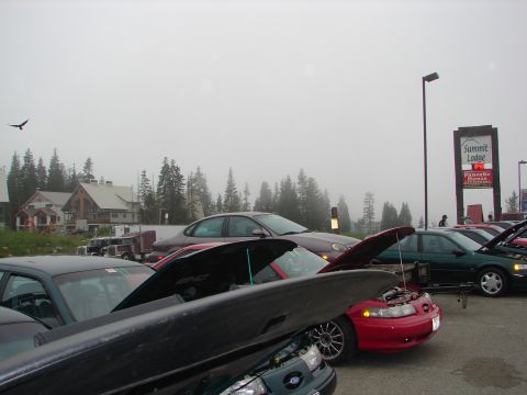 1992 Ford Taurus - A gathering of Ford Taurus cars is seen at the Summit Lodge on a foggy day, with several vehicles displaying open hoods.