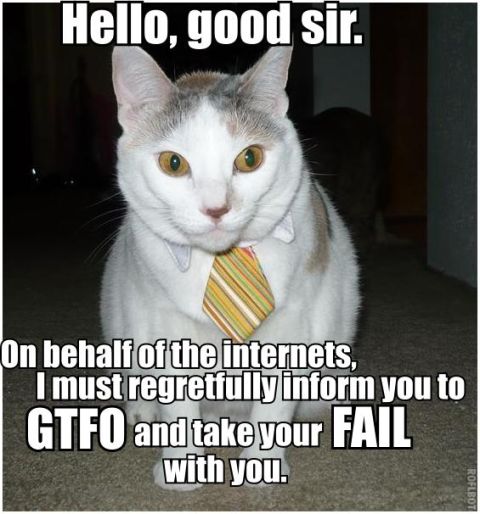 1989 Ford Probe - A cat dressed in a tie delivers a message from the internet.