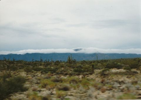 1994 Ford Bronco - A desert landscape with mountains shrouded in clouds and scattered cacti.