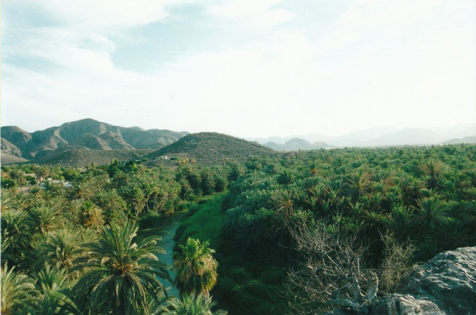 Desert landscape with a river winding through palm trees and hills in the background. Watermark reads SUPERMOTORS