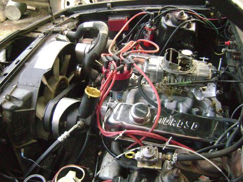 1981 Ford Mustang - Close-up view of a V8 engine bay, showing various components and wiring.