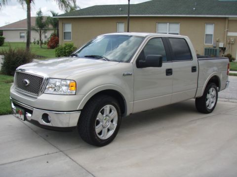 2006 Ford F-150 - A silver 2006 Ford F-150 truck is parked in front of a house.