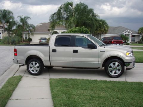 2006 Ford F-150 - Side view of a silver 2006 Ford F-150 pickup truck parked in a driveway.