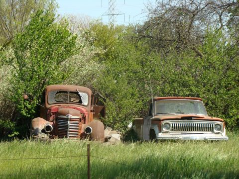 1989 Ford Bronco - Two weathered trucks are parked in a field, surrounded by greenery and under a sky with power lines.