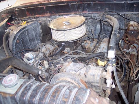 1979 Ford Bronco - 351 M
