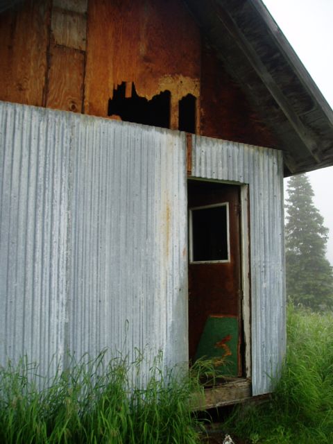 2000 Ford E350 - A rundown shed with rusted corrugated metal siding and exposed wooden structure sits in tall grass under a foggy sky.