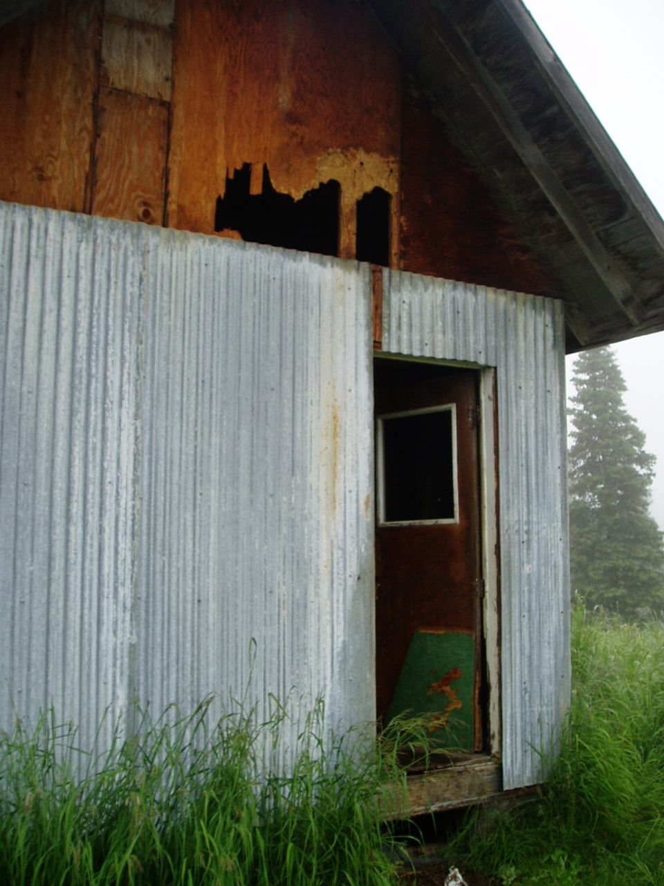 Dilapidated shed with corrugated metal siding and exposed wood, overgrown grass