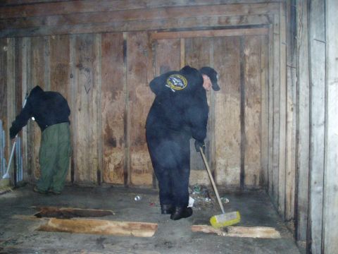 2000 Ford E350 - Two individuals are seen sweeping the floor of a rustic, unfinished wooden structure, clearing out debris.