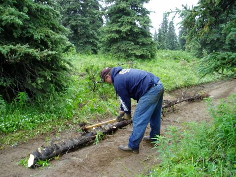 2000 Ford E350 - Man clearing a log from a dirt path in a wooded area.