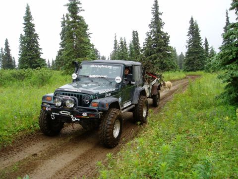 2000 Ford E350 - A Jeep Wrangler navigates a muddy trail through a forest, pulling a trailer with a dog following.