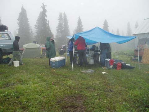 2000 Ford E350 - A group of people are gathered under a blue tarp at a campsite, with tents and trees visible in the foggy background.