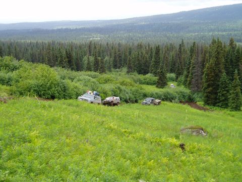 2000 Ford E350 - Several off-road vehicles are parked in a grassy, wooded area with a dense forest in the background. One light-colored SUV is parked on a s…