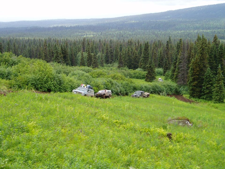 Off-road vehicles parked in a grassy field with a dense forest in the background.