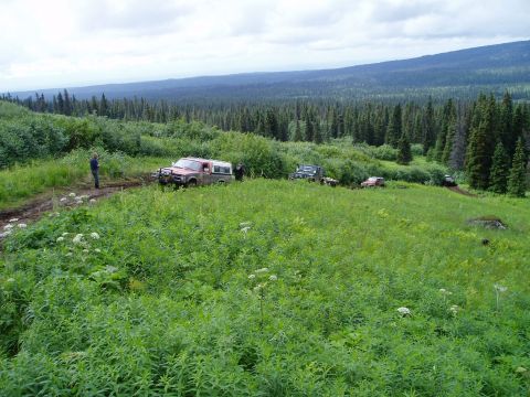 2000 Ford E350 - Several off-road vehicles are parked and driving on a grassy, hilly terrain with a dense forest in the background.