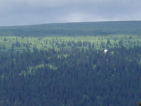 2000 Ford E350 - A distant view of a vast, tree-covered landscape under a cloudy sky. A small, white structure is visible in the middle ground, nestled amon…