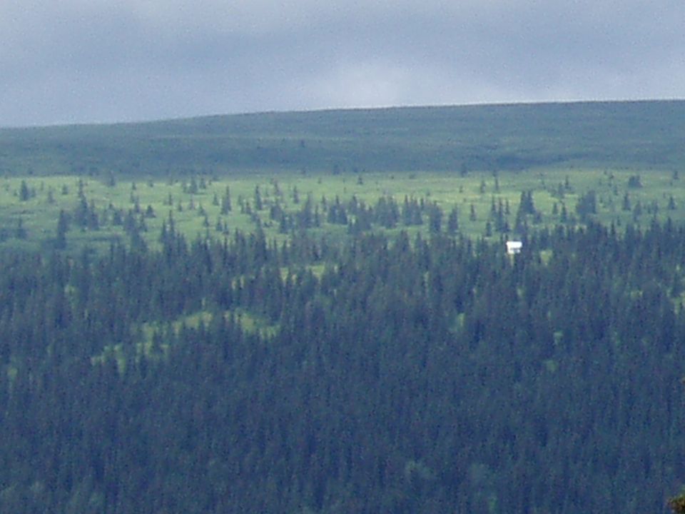 Distant view of a forest landscape with a small white structure.
