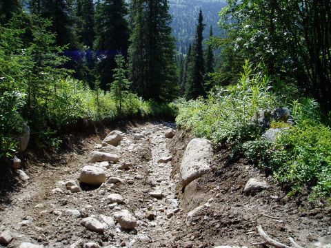 2000 Ford E350 - A rough, rocky dirt road winds through a dense forest with tall evergreen trees on either side. The path is uneven and appears to be an off…