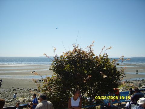 1989 Ford Bronco - A sunny day at the beach with people walking along the shore and children playing. A tree with red-tinged leaves is in the foreground.