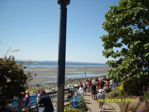 1989 Ford Bronco - A group of people are walking along a paved path next to a beach and the ocean. A tall dark pole is in the foreground.