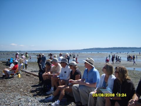 1989 Ford Bronco - A group of people are sitting on a log on a beach, watching an event in the distance. The beach is crowded with people walking around in th…