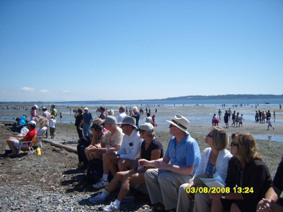 People sitting on a log on a beach watching a crowded event in the distance.