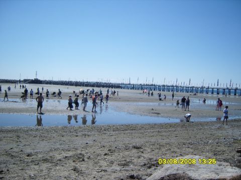 1989 Ford Bronco - A wide shot of a beach with many people enjoying the day. A long pier stretches across the horizon, lined with flags.