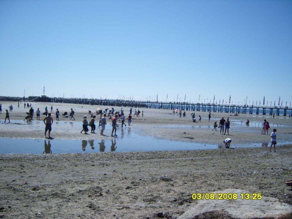 Beach scene with many people and a long pier with flags under a clear blue sky.