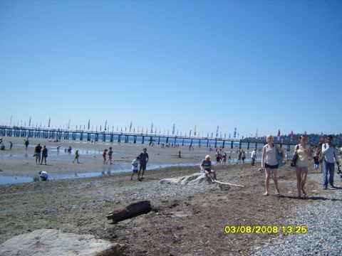 1989 Ford Bronco - A wide shot of a crowded beach with a pier in the background under a clear blue sky. People are walking along the shore and playing in the…