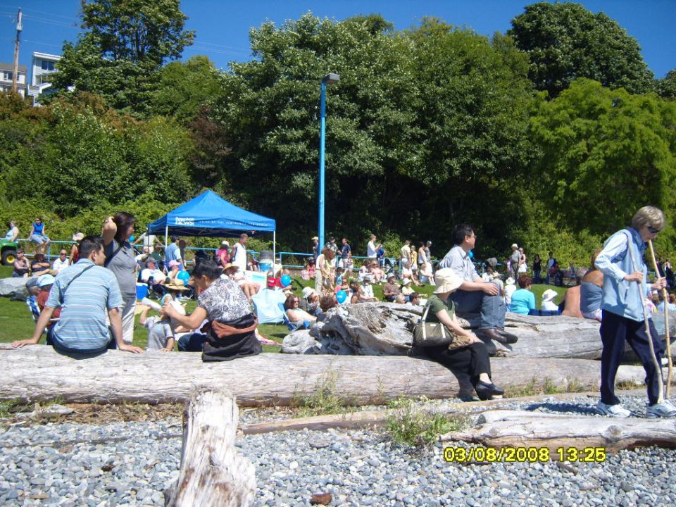 People gathered on a hillside near a beach with a blue tent and logs.