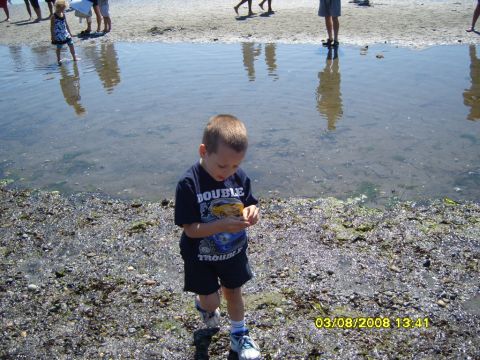 1989 Ford Bronco - A young boy in a dark t-shirt and shorts is looking down at something he is holding in his hands while standing on a rocky beach next to sh…