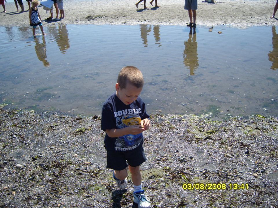 Boy in t-shirt with car graphic on rocky beach