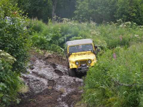1981 Jeep CJ7 photo