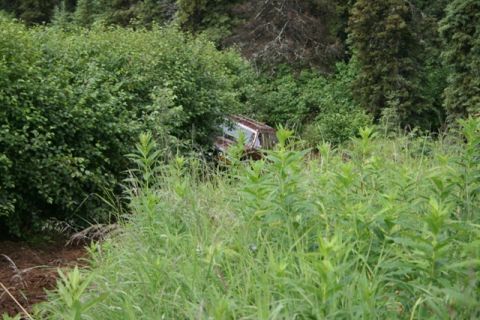 1990 Chevrolet Suburban - A rusty, older model SUV is partially visible, overgrown with vegetation, in a wooded area. The vehicle appears to be a brown and white SUV…