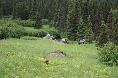 1990 Chevrolet Suburban - Several off-road vehicles are parked in a grassy clearing surrounded by a dense forest. One red SUV is visible on the right side of the fra…