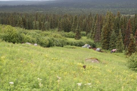 1990 Chevrolet Suburban - Several off-road vehicles are parked on a grassy hillside surrounded by dense forest. One vehicle appears to be a light-colored SUV or truc…