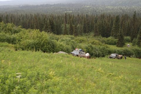 1990 Chevrolet Suburban - Two off-road vehicles are parked in a grassy clearing surrounded by dense forest. The vehicle on the left is a light-colored SUV with lugga…