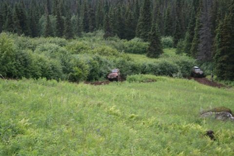 1990 Chevrolet Suburban - Two off-road vehicles navigate a grassy, wooded terrain with dense trees in the background. The vehicle on the left is red, while the one o…