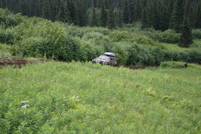 Tan SUV stuck in grass with a roof carrier, person standing nearby, forest background.