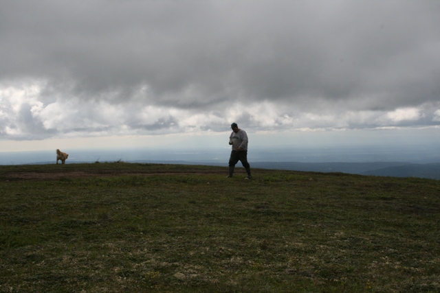Dog and person on a grassy hill under a cloudy sky