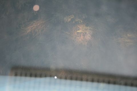 1990 Chevrolet Suburban - A blurry reflection shows trees and a building on a glass surface, with no clear vehicle identification.