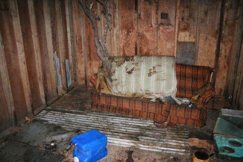 1990 Chevrolet Suburban - Interior of a run-down room a damaged couch with a tree growing through it.
