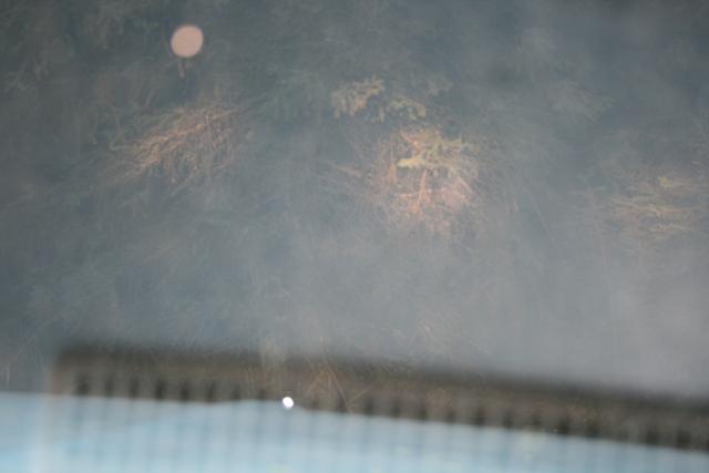 Reflection of trees and sky on a window with a blurred building below